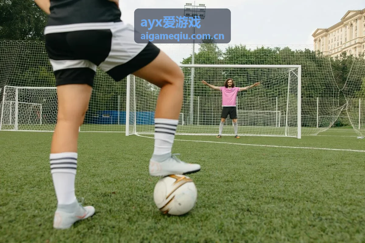 ayx爱游戏策略模拟品类